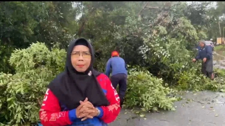 Eksekusi Pohon Tumbang, DLH Imbau Warga Hindari Jalan Hutan Wisata