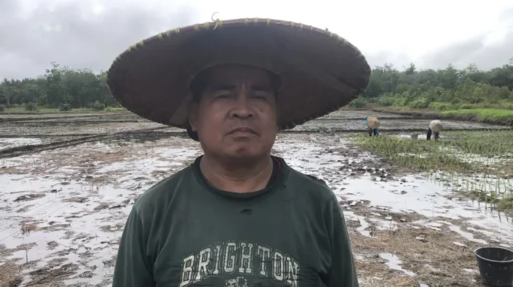 Petani Desa Ajak Mulai Tinggalkan Ladang Berpindah, Beralih ke Sawah