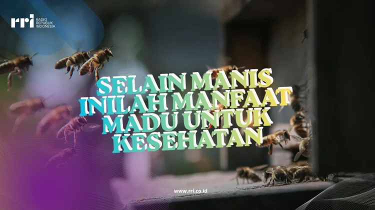 Selain Manis Inilah Manfaat Madu untuk Kesehatan