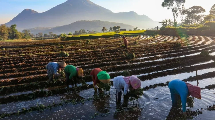 Dorong Ekonomi Hijau, BRI Perkuat Pertumbuhan Berkelanjutan