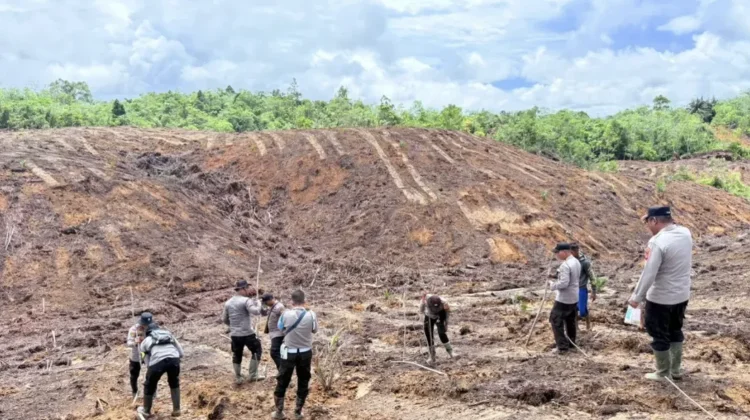 Polsek Boyan Tanjung Bersama Kelompok Tani Laksanakan Penanaman Jagung Hibrida