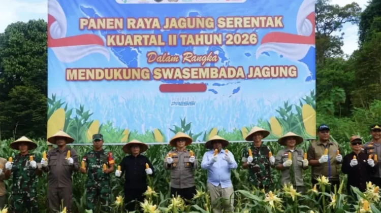 Panen Raya Jagung Serentak Kuartal II di Pengkadan Kapuas Hulu