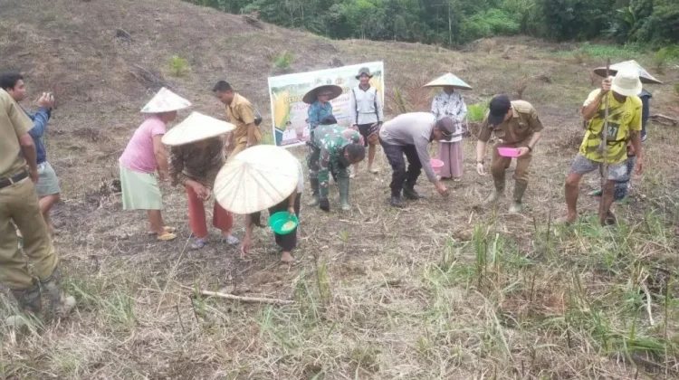 Warga dan Polsek Menukung Bersinergi Tanam Jagung Hibrida