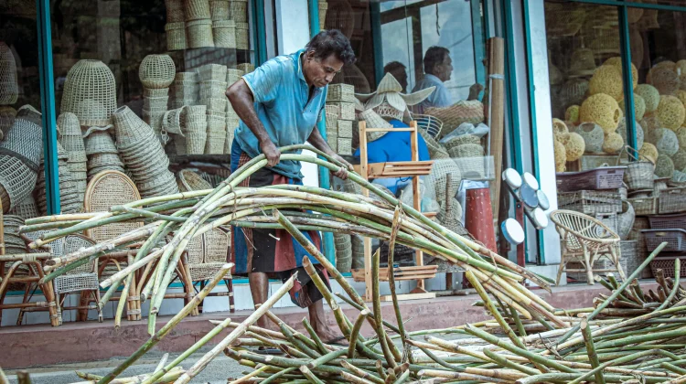 Juhu Singkah, Sayur Rotan Muda Tradisional khas Suku Dayak