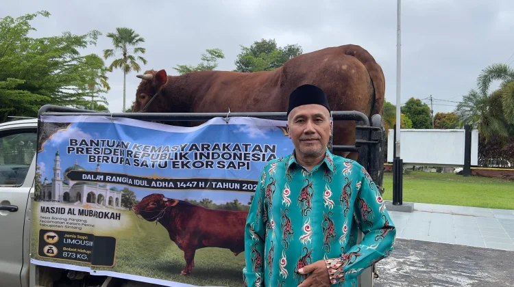 873 Kilogram Daging Sapi Bantuan Presiden Siap Dibagikan