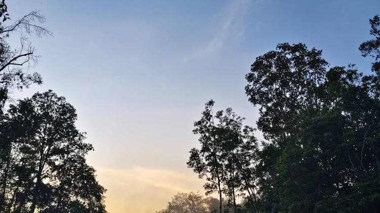 Rekomendasi 3 Tempat Piknik Menyenangkan di Kabupaten Melawi
