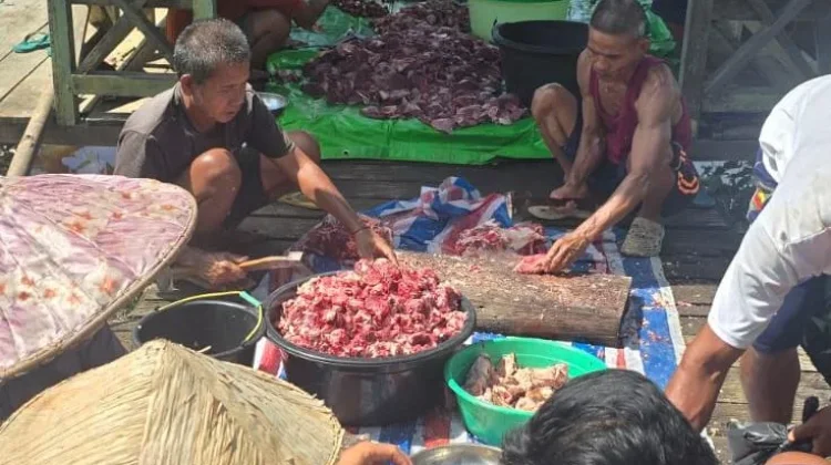 Puspawaja Sintang Salurkan Kurban