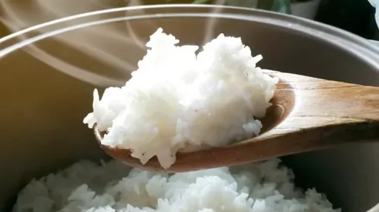 Mana Lebih Sehat: Nasi Panas atau Nasi Dingin
