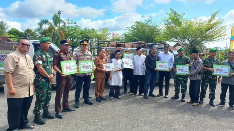 Mushola Al-Yakin Terima Bantuan Sapi Kurban Pemkab Sintang Idul Adha 1447 H