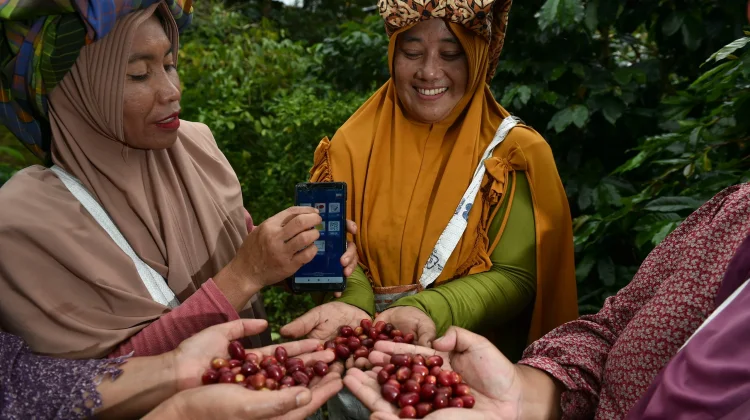 Dukung Ketahanan Pangan Nasional, BRI Salurkan KUR 558 Ribu Petani