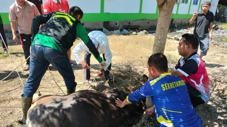 Kemenag Sintang Melakukan Distribusi Daging Kurban 1447 Hijriah