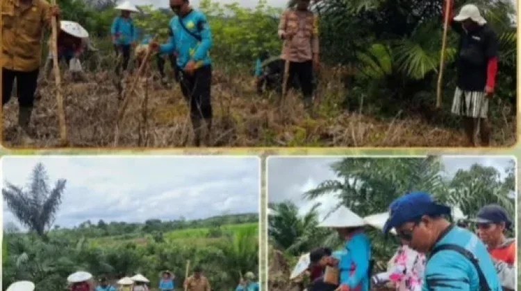 Polsek Kayan Hilir Tanam Jagung Kuartal II Dukung Swasembada Pangan 2026