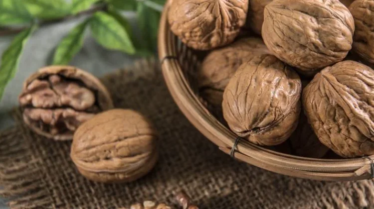 Kaya Omega-3, Ini Berbagai Manfaat Kacang Kenari bagi Tubuh