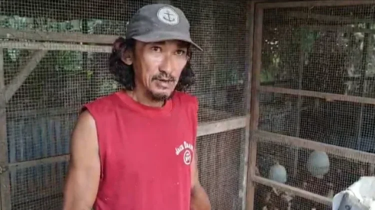 Peternak Ayam Petelur di Sintang Raup Jutaan Rupiah Perbulan