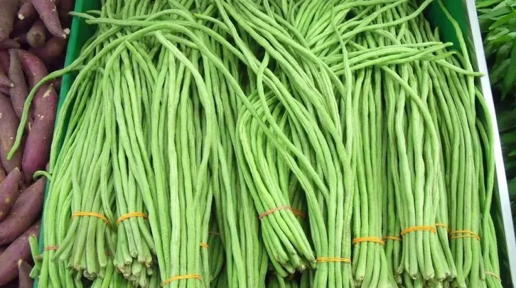 Kacang Panjang, Sayuran Murah dengan Segudang Manfaat untuk Kesehatan