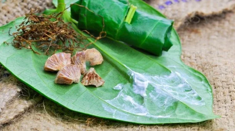 Makna Tradisi Sirih Pinang dalam Budaya Dayak
