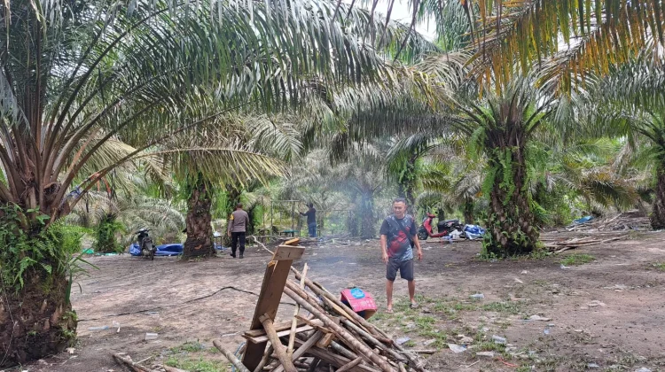 Polsek Belitang Hilir Tertibkan Arena Sabung Ayam