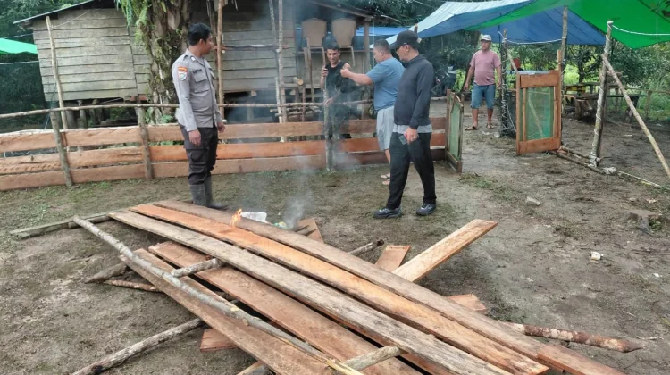 Polsek Belitang Hilir Bongkar Arena Sabung Ayam