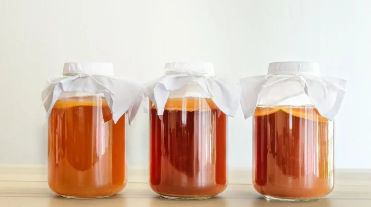 Mengenal Kombucha, Minuman Fermentasi yang Baik untuk Kesehatan Pencernaan