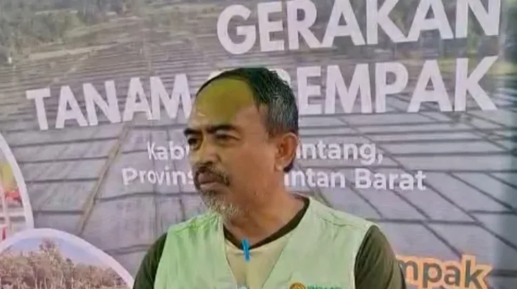 Pupuk Subsidi Tidak digunakan untuk Sawit tetapi Tanaman Tertentu