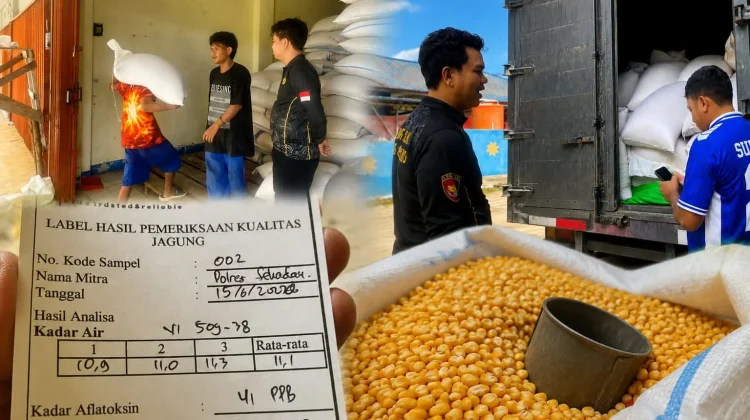 Polres Sekadau Kirim 5,3 Ton Jagung ke Sanggau
