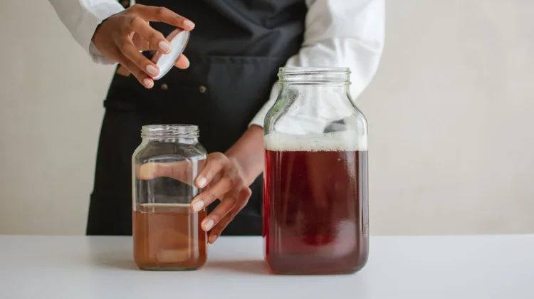Cara Membuat Kombucha di Rumah