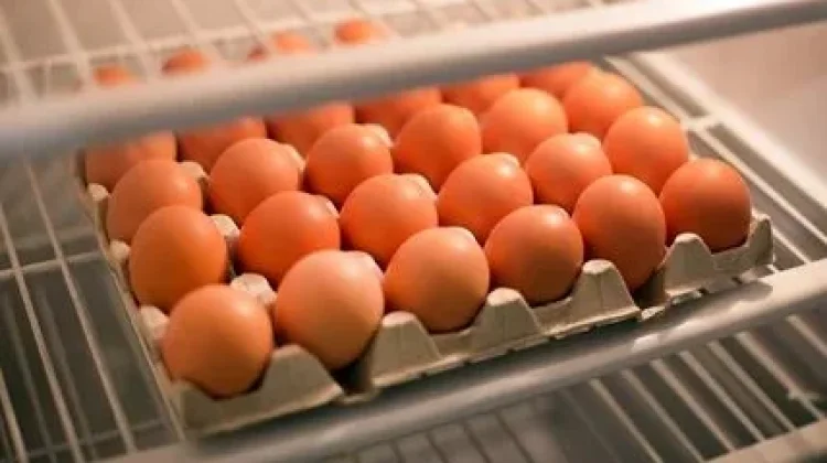 5 Cara Menyimpan Telur agar Awet dan Tidak Cepat Busuk