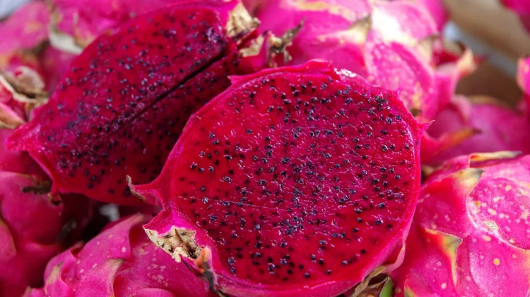 Superfood Lokal: Segudang Khasiat Alami Buah Naga