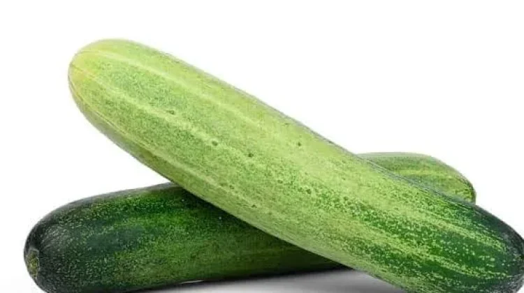 Manfaat Buah Timun bagi Kesehatan Tubuh