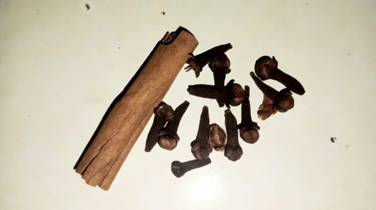 Obat Kumur Alami dari Cengkeh dan Kayu Manis