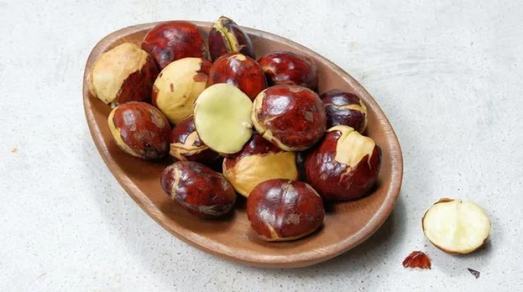 Waspadai Gejala Keracunan Jengkol