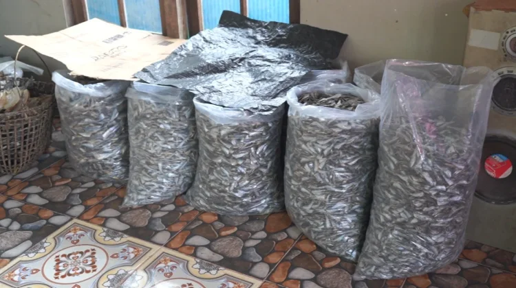 Ikan Asin  Komoditi Andalan Desa Empangau Kapuas Hulu