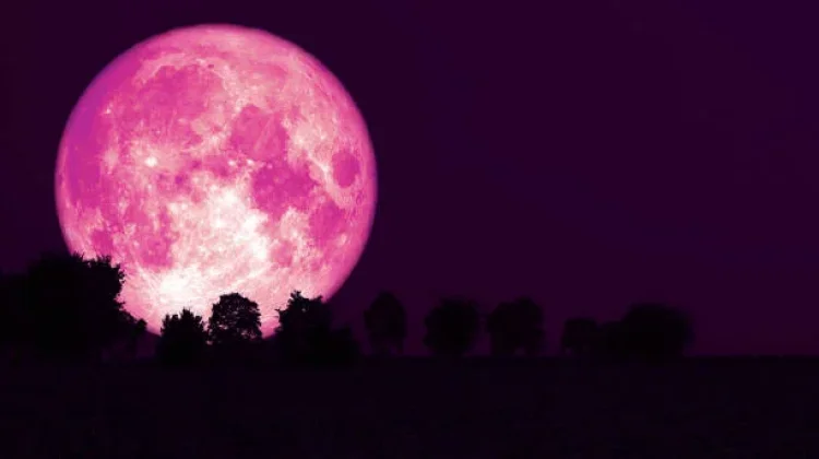 Strawberry Moon,Fenomena Langka Setiap 19 Tahun