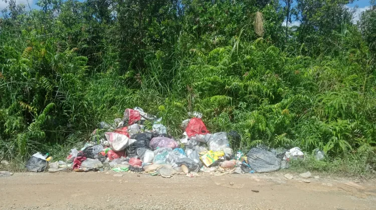 Kesadaran Kelola Sampah Perlu Ditingkatkan untuk Cegah Pencemaran Lingkungan