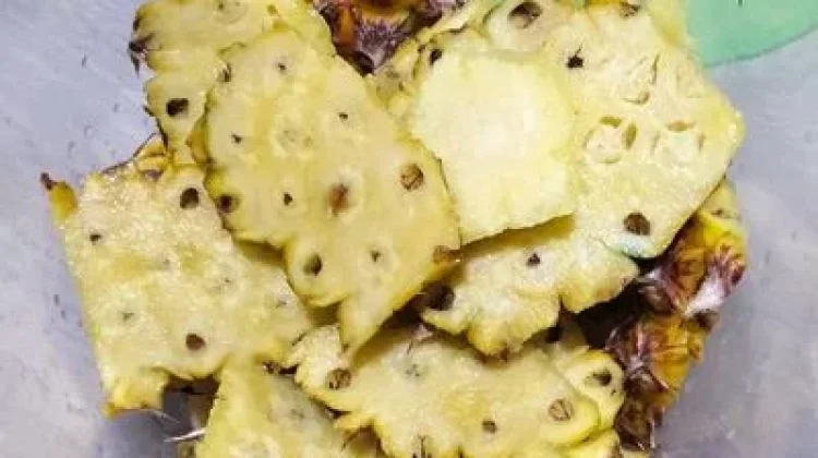 Manfaat dan Cara Membuat Pupuk Organik Cair dari Kulit Nanas