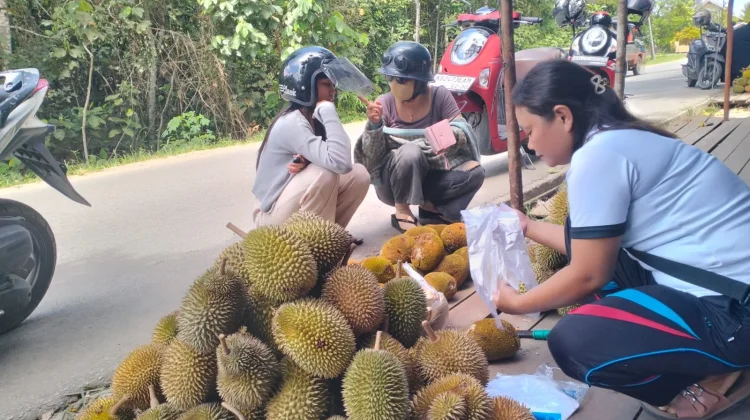 Pasar Durian Musiman di Jalan Lingkar Wisata Baning Ramai Pembeli