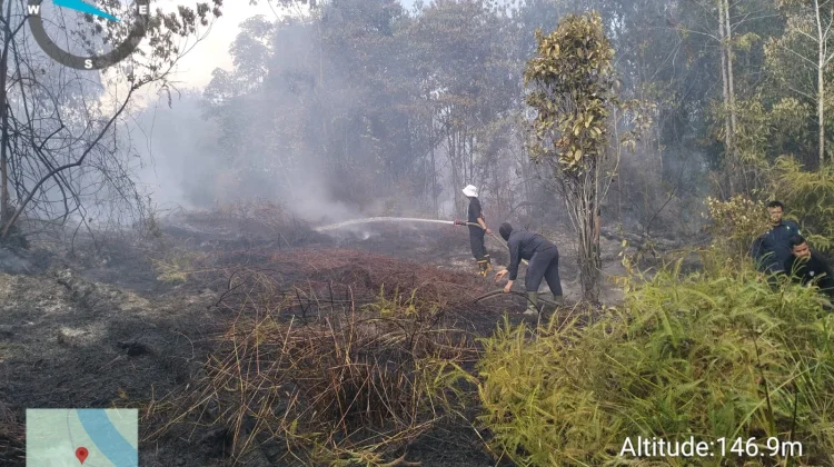 Kebakaran Lahan di Simba Raya Hanguskan Dua Hektar Lahan