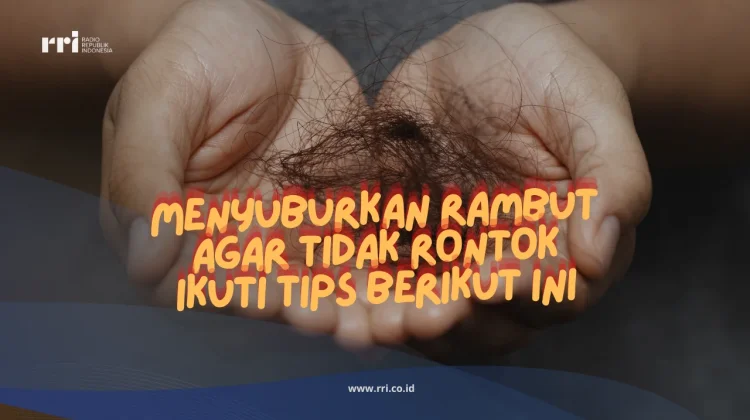 Menyuburkan Rambut agar Tidak Rontok Ikuti Tips Berikut ini