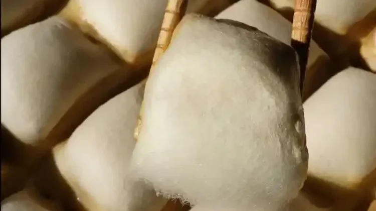 Tahu Berjamur atau Moldy Tofu