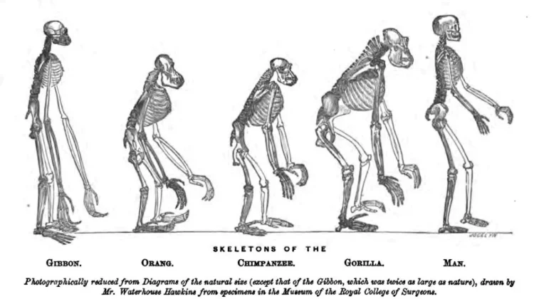 Teori Evolusi Darwin dan Warisannya bagi Ilmu Pengetahuan