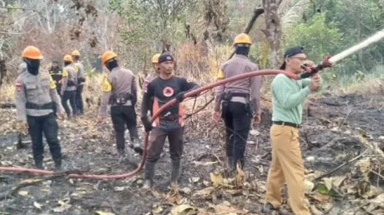 Tiga Area Lahan di Sintang Hangus Terbakar