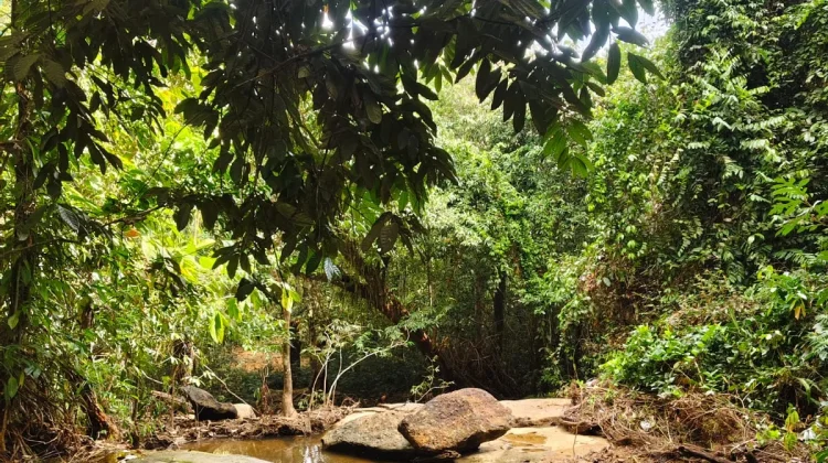 Mengenal Destinasi Wisata Alam Air Terjun Lepung Iring