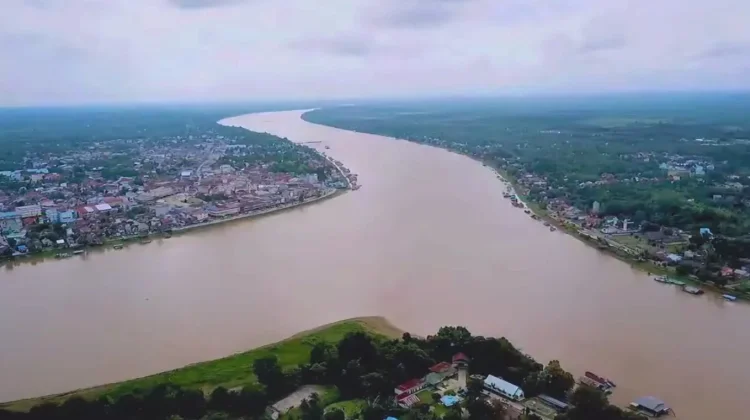 Wajib Tahu! Ikan Hias Endemik dari Sungai Kapuas