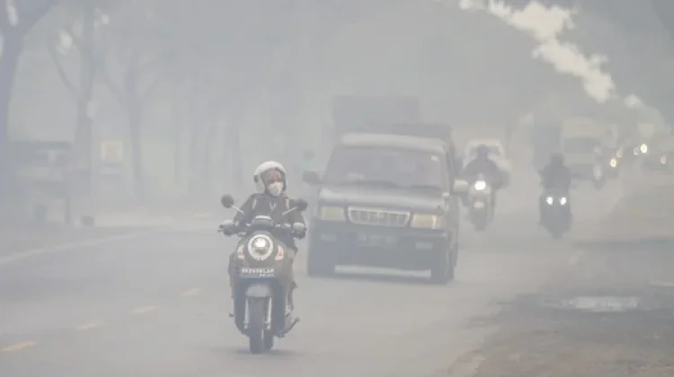 Cara Lindungi Diri dari Dampak Kabut Asap