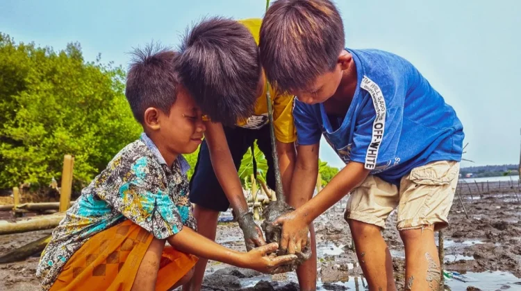 Menanam Pohon Ajarkan Anak Cinta Lingkungan
