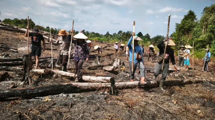 Kekompakan Poktan dan Polisi Wujudkan Lahan Jagung Produktif di Tinting Boyok