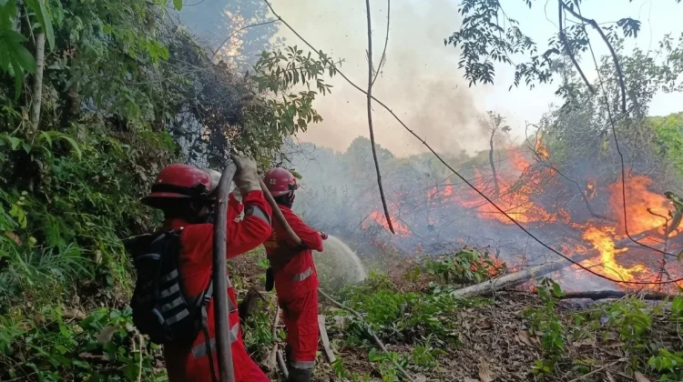 Tim Manggala Agni Padamkan Kebakaran di Tiga Wilayah