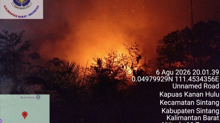 Damkar Sintang Berjibaku Padamkan Kebakaran di Rawa Mambuk dan Jerora
