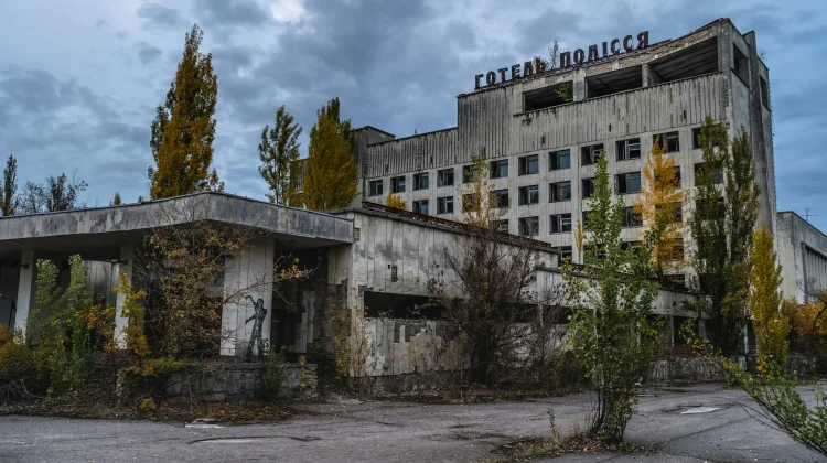 Jejak Kontaminasi Chernobyl pada Satwa Liar Eropa