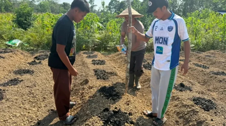 Dukung Ketahanan Pangan, Polsek Ella Hilir Bersama Pemdes Popay Tanam Jagung